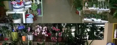 Immagine 6 azienda ONORANZE FUNEBRI GALGANO E TORNILLO Shopping e acquisti in Calitri AV