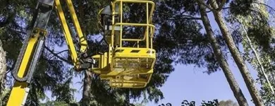 Immagine 2 azienda OPERA VERDE Servizi professionali in Carbonera TV