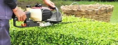 Immagine 3 azienda OPERA VERDE Servizi professionali in Carbonera TV