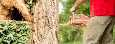Immagine 4 azienda OPERA VERDE Servizi professionali in Carbonera TV