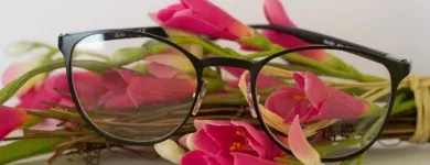 Immagine 4 azienda OTTICA TEBASTI Shopping e acquisti in Campogalliano MO