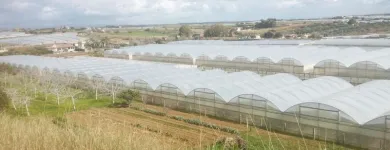 Immagine 1 azienda PASSIFLORA Industrie e agricoltura in Ispica