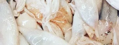 Immagine 3 azienda PESCHERIA VIRGILIO Shopping e acquisti in Milano