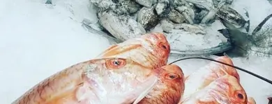 Immagine 4 azienda PESCHERIA VIRGILIO Shopping e acquisti in Milano