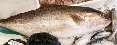 Immagine 5 azienda PESCHERIA VIRGILIO Shopping e acquisti in Milano