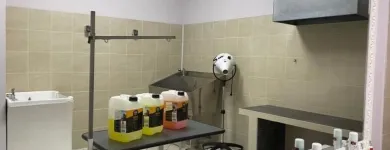 Immagine 2 azienda PET CHIC LOVE Shopping e acquisti in Giarre CT