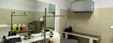 Immagine 7 azienda PET CHIC LOVE Shopping e acquisti in Giarre CT