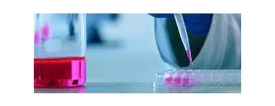 Immagine 3 azienda PHTRE Servizi professionali in Vicenza