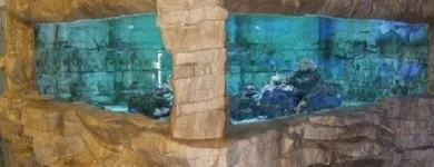 Immagine 2 azienda PIANETA ROCCE Sport e tempo libero in Pozzuoli NA