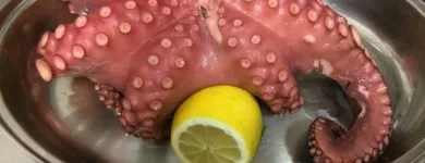 Immagine 5 azienda PIZZERIA RISTORANTE IL PICCOLO BORGO Tavola calda in Castel Maggiore BO