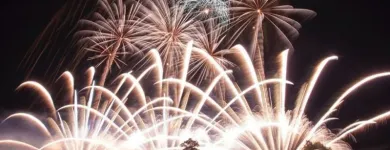 Immagine 4 azienda PRESTIGE EVENTI Servizi professionali in Ferrara