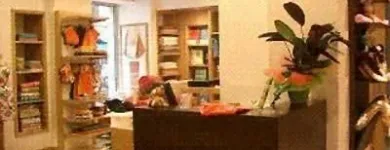 Immagine 2 azienda PRIMEL Veicoli in Latina