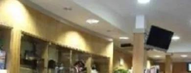 Immagine 4 azienda PRIMEL Veicoli in Latina