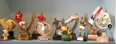 Immagine 9 azienda PROMOGRAF Trofei e distintivi in Pogliano Milanese MI