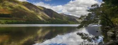 Immagine 4 azienda PSICOLOGO DOTT.SSA MELISSA CIACCI Salute in Rimini