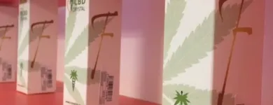 Immagine 5 azienda PURE WEED Vivaio in Rivazzurra RN