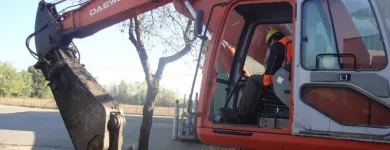 Immagine 2 azienda RAZIO FERDINANDO ROTTAMI METALLICI Servizi professionali in Calcinato BS