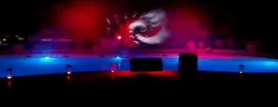 Immagine 1 azienda RENTAL VIDEO SHOW Servizi professionali in Bari