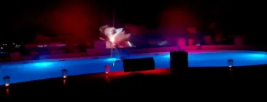 Immagine 9 azienda RENTAL VIDEO SHOW Servizi professionali in Bari