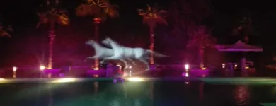 Immagine 11 azienda RENTAL VIDEO SHOW Servizi professionali in Bari