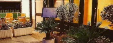 Immagine 5 azienda RISTORANTE BECCOFINO Ristorante in Samarate VA