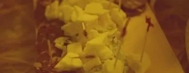 Immagine 1 azienda RISTORANTE CASA SARCHIAPONE Tavola calda in Giugliano In Campania NA