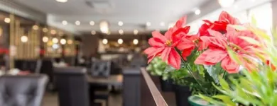 Immagine 7 azienda RISTORANTE CINESE E GIAPPONESE KIYOMI Ristorante in Ancona