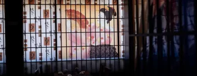 Immagine 5 azienda RISTORANTE GIAPPONESE SAKURA Ristorante in Bassano Del Grappa VI