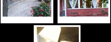 Immagine 2 azienda RISTORANTE IL FORO Sala per banchetti in San Giuliano Terme PI