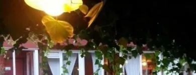 Immagine 7 azienda RISTORANTE IL FORO Sala per banchetti in San Giuliano Terme PI