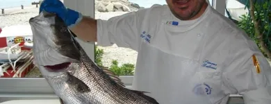 Immagine 6 azienda RISTORANTE IL MOLO Sport e tempo libero in Ancona