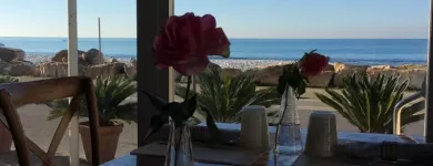 Immagine 5 azienda RISTORANTE IL PESCHERECCIO BEACH Ristorante in Pisa