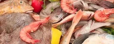 Immagine 2 azienda RISTORANTE PIZZERIA IL MARCHESE Ristorante in San Giorgio A Cremano NA