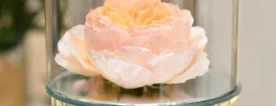 Immagine 1 azienda RIZZA LUIGI Shopping e acquisti in Ispica