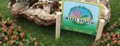 Immagine 3 azienda RIZZI SILVIO Shopping e acquisti in Argelato BO