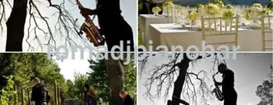 Immagine 25 azienda ROMADJPIANOBAR DI GIANPIERO FATICA Sport e tempo libero in Roma