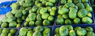 Immagine 3 azienda ROSA ANGELO E DENARO VINCENZO Shopping e acquisti in Ispica