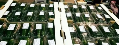 Immagine 5 azienda ROSA ANGELO E DENARO VINCENZO Shopping e acquisti in Ispica