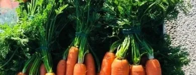 Immagine 6 azienda ROSA ANGELO E DENARO VINCENZO Shopping e acquisti in Ispica