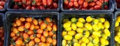 Immagine 7 azienda ROSA ANGELO E DENARO VINCENZO Shopping e acquisti in Ispica