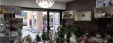 Immagine 1 azienda RRM GROUP ARREDAMENTI NEGOZI Shopping e acquisti in Torino