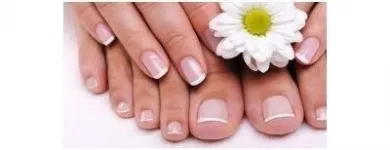 Immagine 2 azienda SALONE LADY LINE Servizi di bellezza in Lavis TN