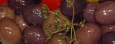 Immagine 8 azienda SAPORI MODICANI Shopping e acquisti in Ispica