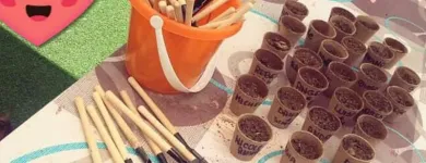 Immagine 2 azienda SCUOLA DELL'INFANZIA PARITARIA IL GIRASOLE Scuola infanzia in Modugno BA