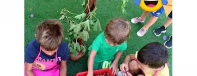 Immagine 7 azienda SCUOLA DELL'INFANZIA PARITARIA IL GIRASOLE Scuola infanzia in Modugno BA