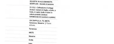 Immagine 2 azienda SDA EXPRESS COURIER SPA Spedizioniere in Messina