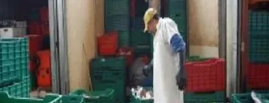 Immagine 2 azienda SERVIZI LOGISTICI Servizio di logistica in Rimini