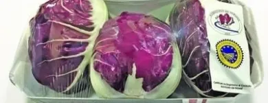 Immagine 6 azienda SI CON TE SUPERMERCATO Shopping e acquisti in Ancona