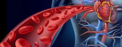 Immagine 5 azienda SMAO Terapista occupazionale in Castiglione Delle Stiviere MN