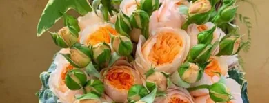 Immagine 3 azienda SPERLINGA FIORI - FIORI A DOMICILIO PALERMO Vivaio in Palermo